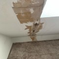 Expertentipps zur Reparatur von Wasserschäden in Ihrem Zuhause